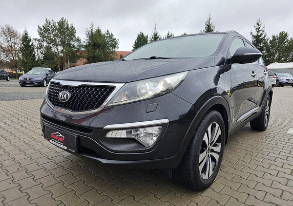 Kia Sportage cena 54990 przebieg: 178000, rok produkcji 2015 z Obrzycko małe 497